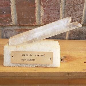 Selenite‎ Crystal Fish Tail, New Mexico USA, 98g Estate Specimen 5.75"